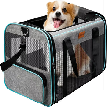Pet Dog Carriers